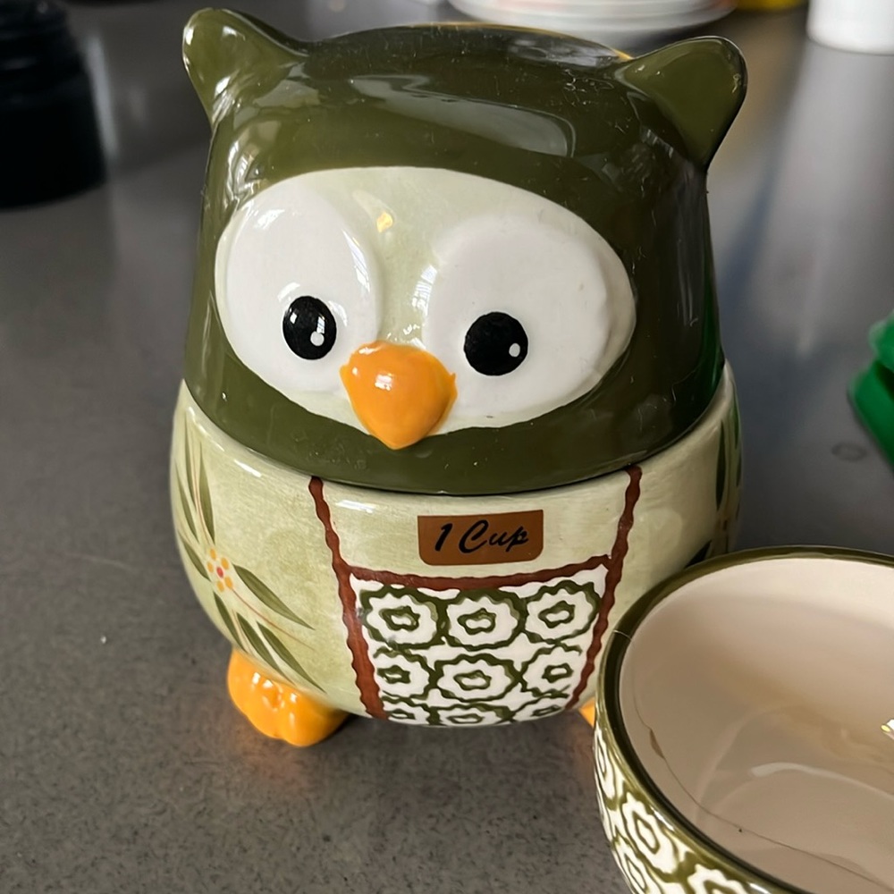 Temptations owl measuring cups